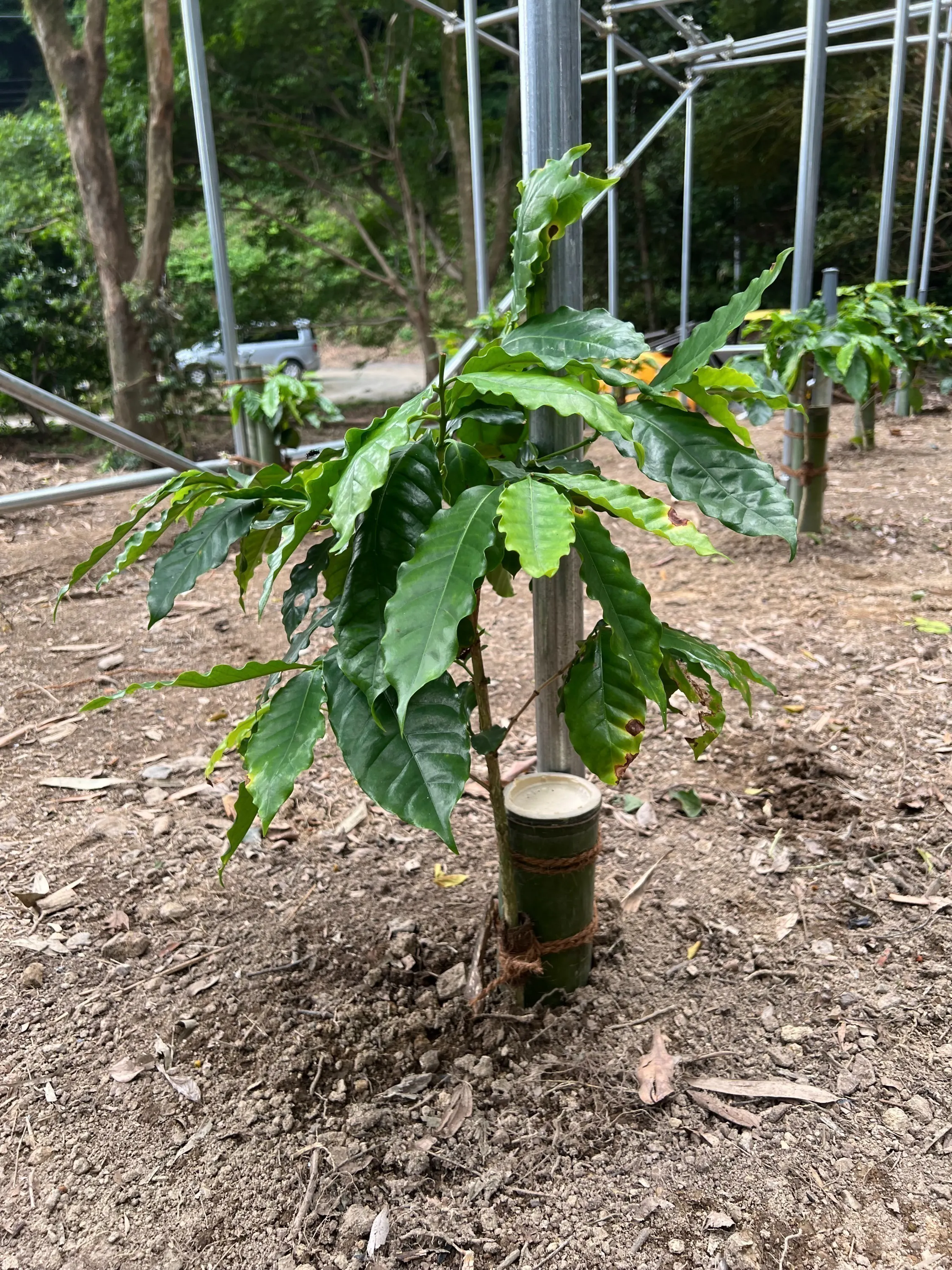 3番目のメイン画像