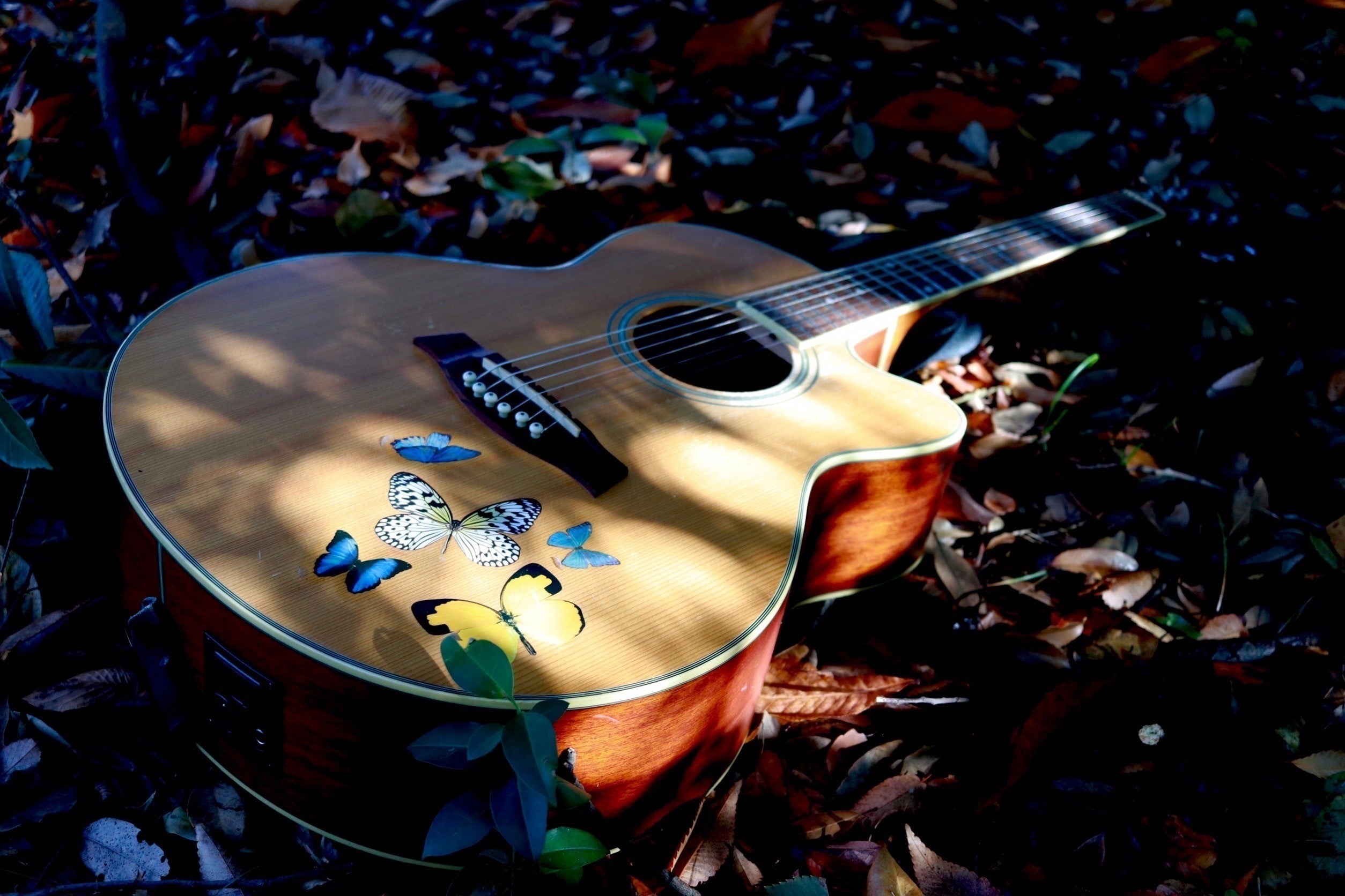 5番目のメイン画像