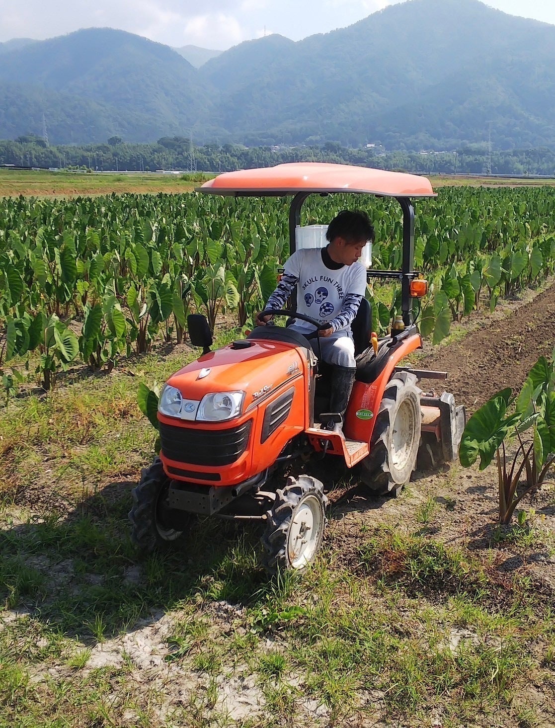 5番目のメイン画像