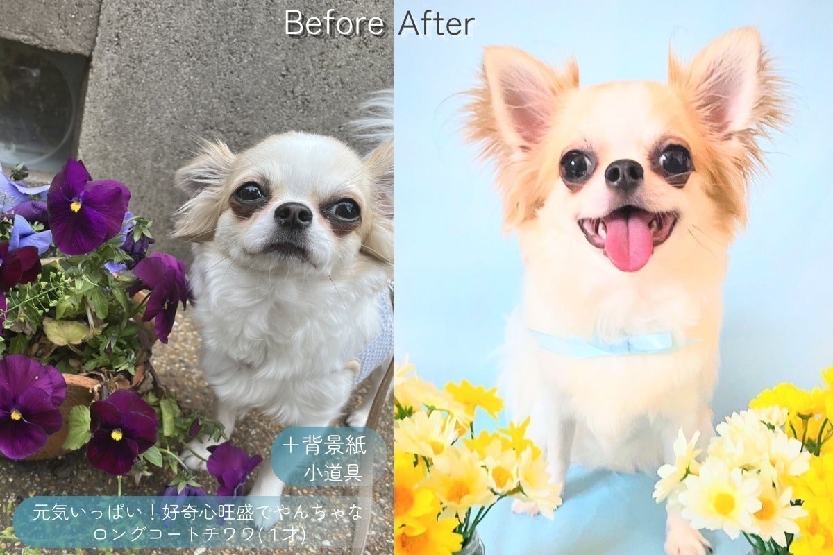 3番目のメイン画像