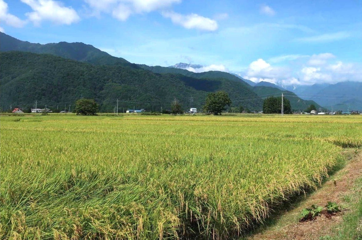 5番目のメイン画像