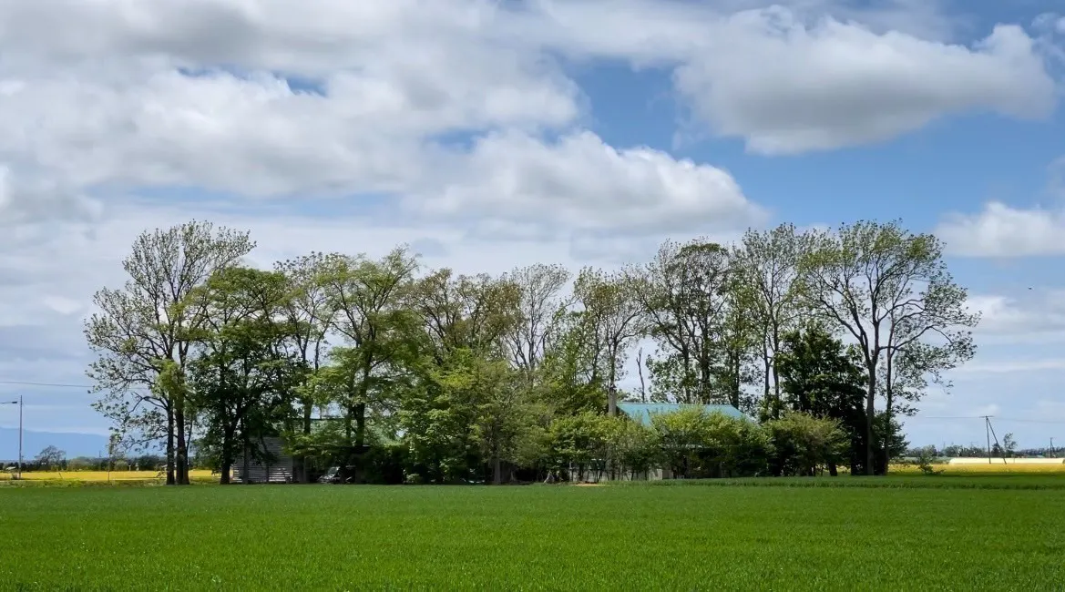 2番目のメイン画像