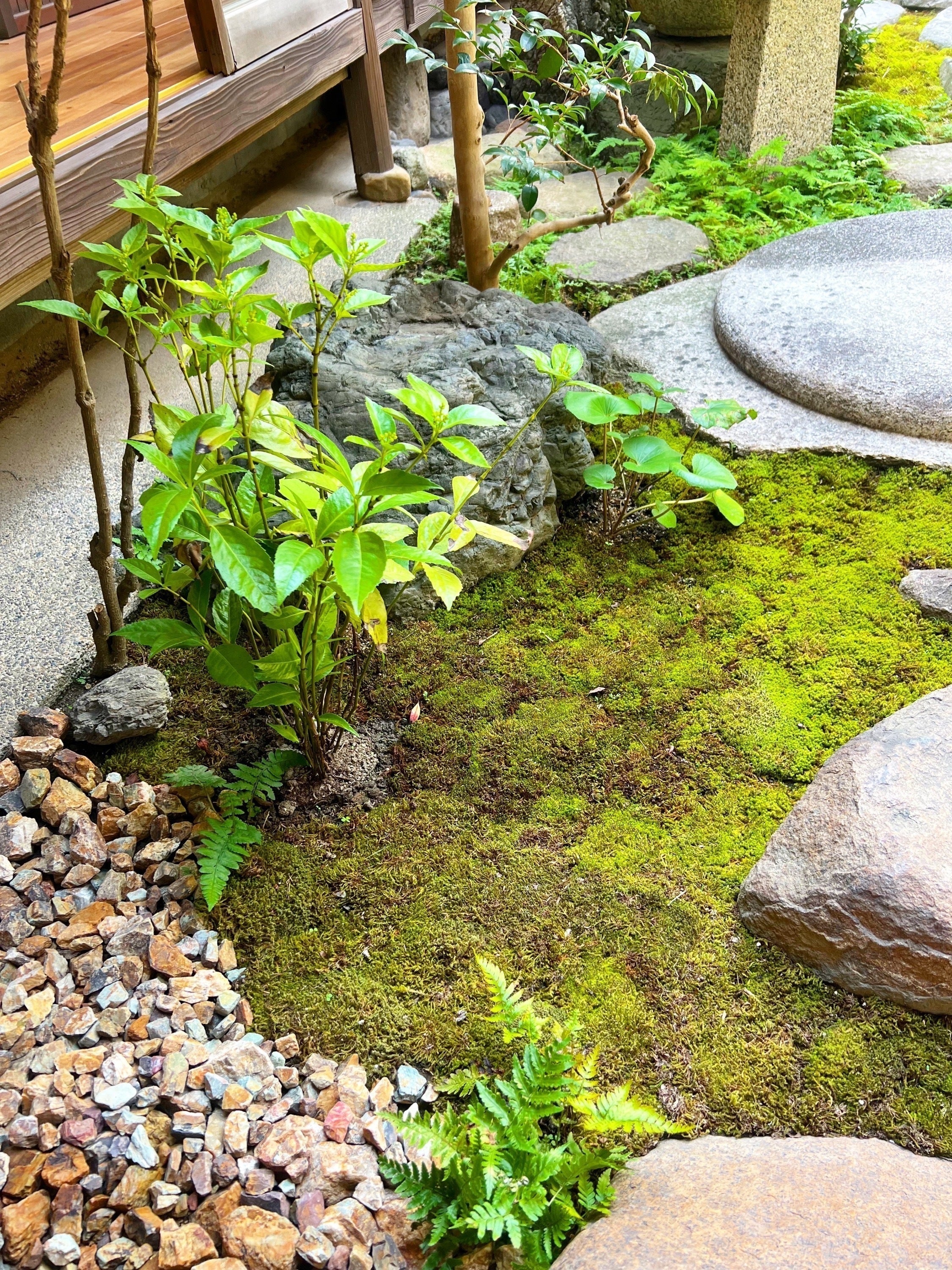 京都の京町家にある真黒石（まぐろいし）を継承したい - CAMPFIRE