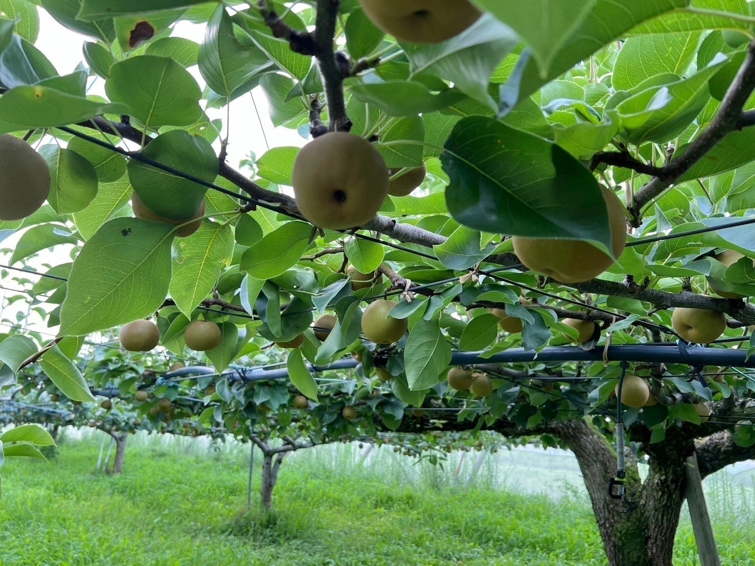 3番目のメイン画像