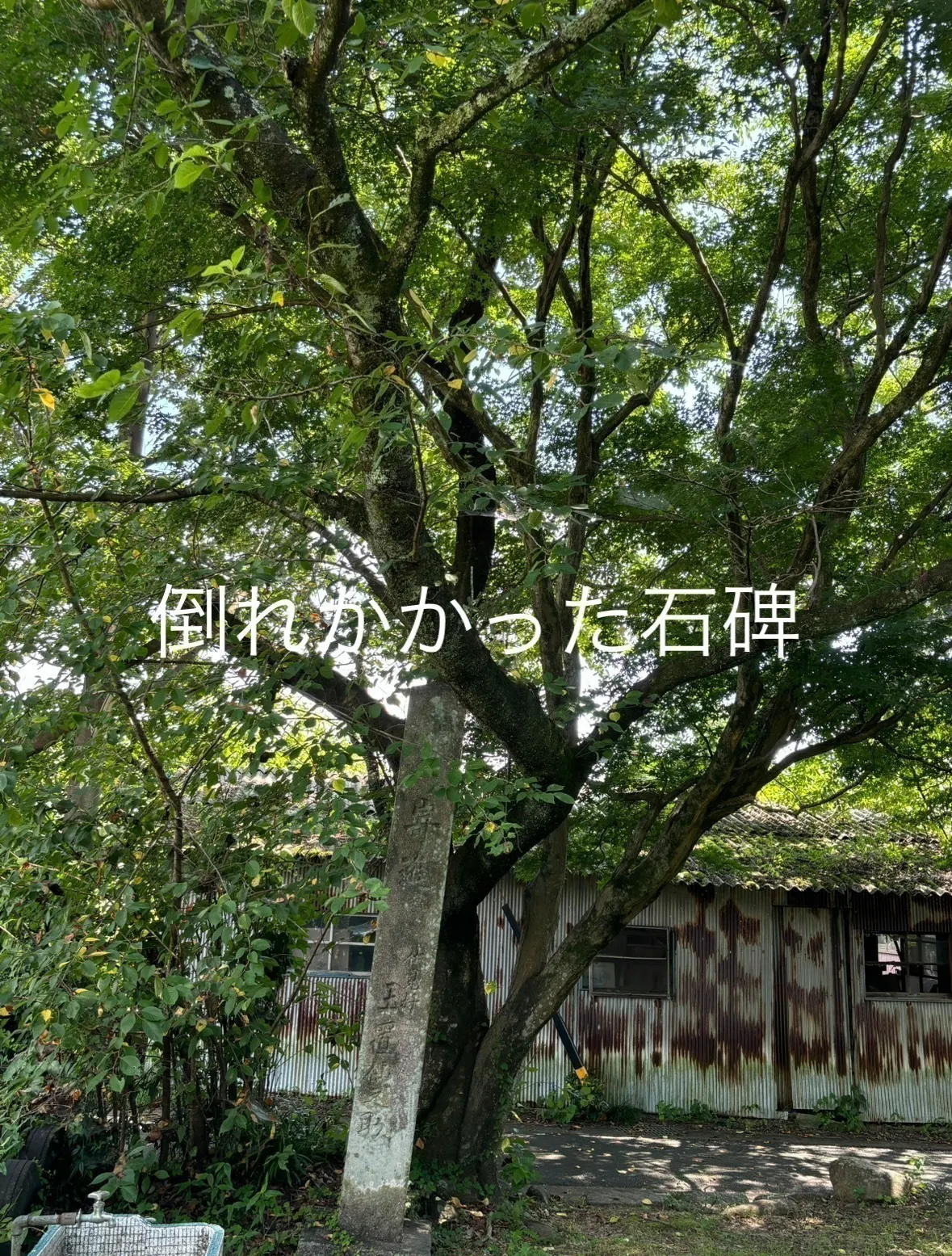 3番目のメイン画像