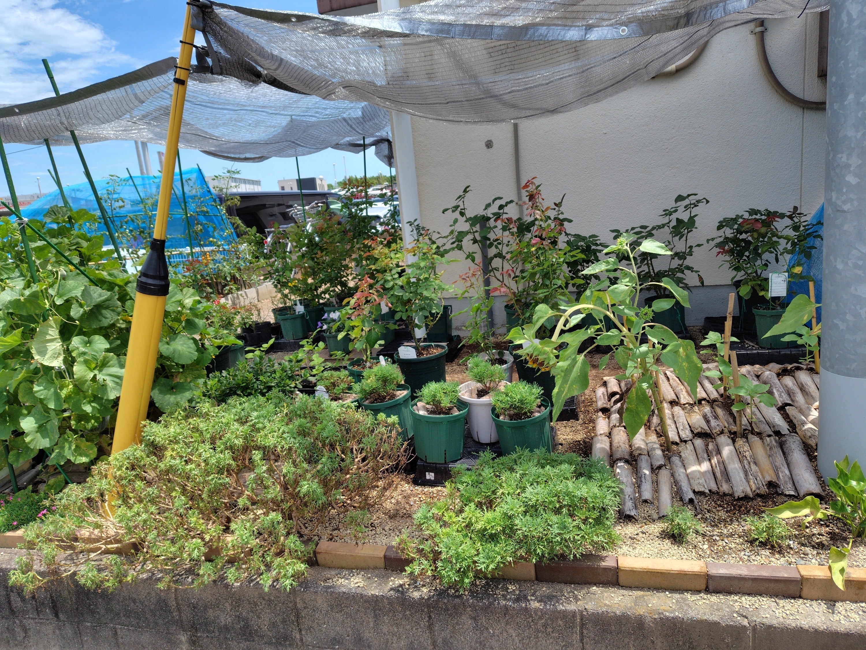 4番目のメイン画像