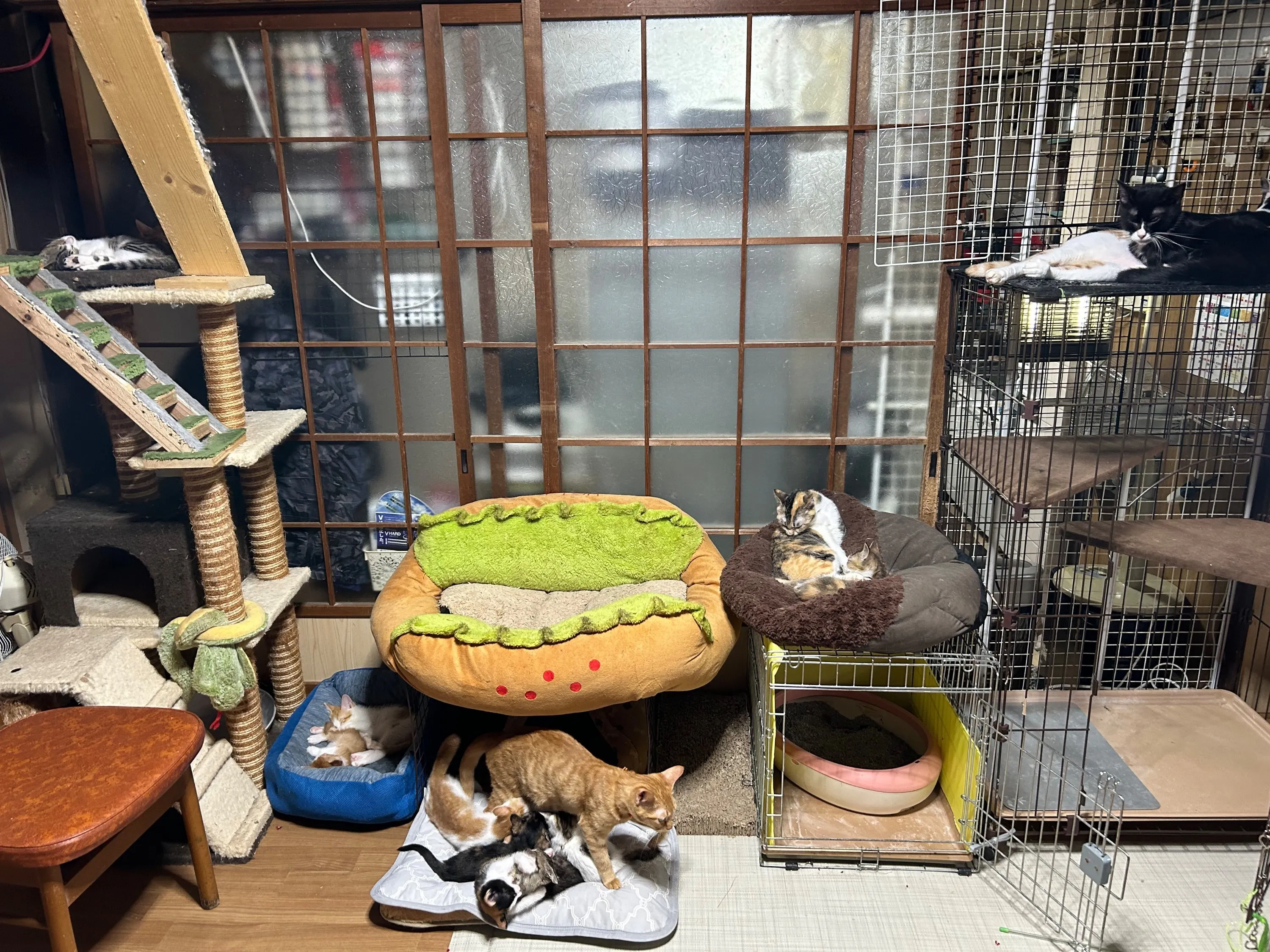 5番目のメイン画像