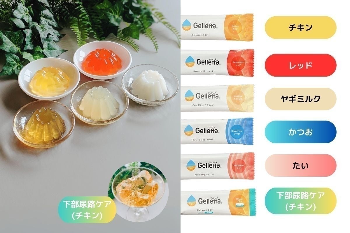 nekozuki ヘルスウォーターボウル 4点、土台2点 Gelletta nekozuki ヘルスウォーターボウル 4点、土台2点 Gelletta