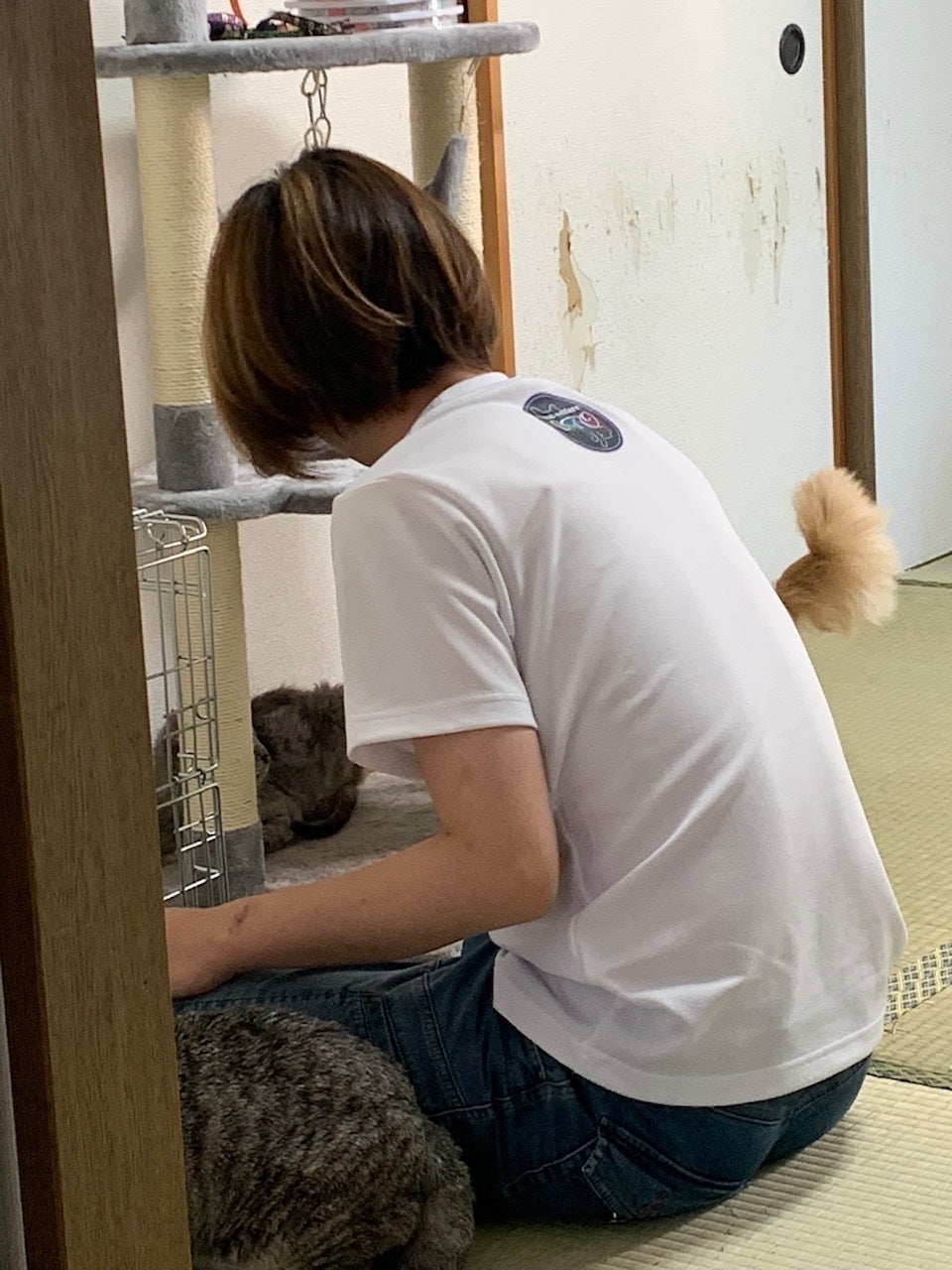 2番目のメイン画像