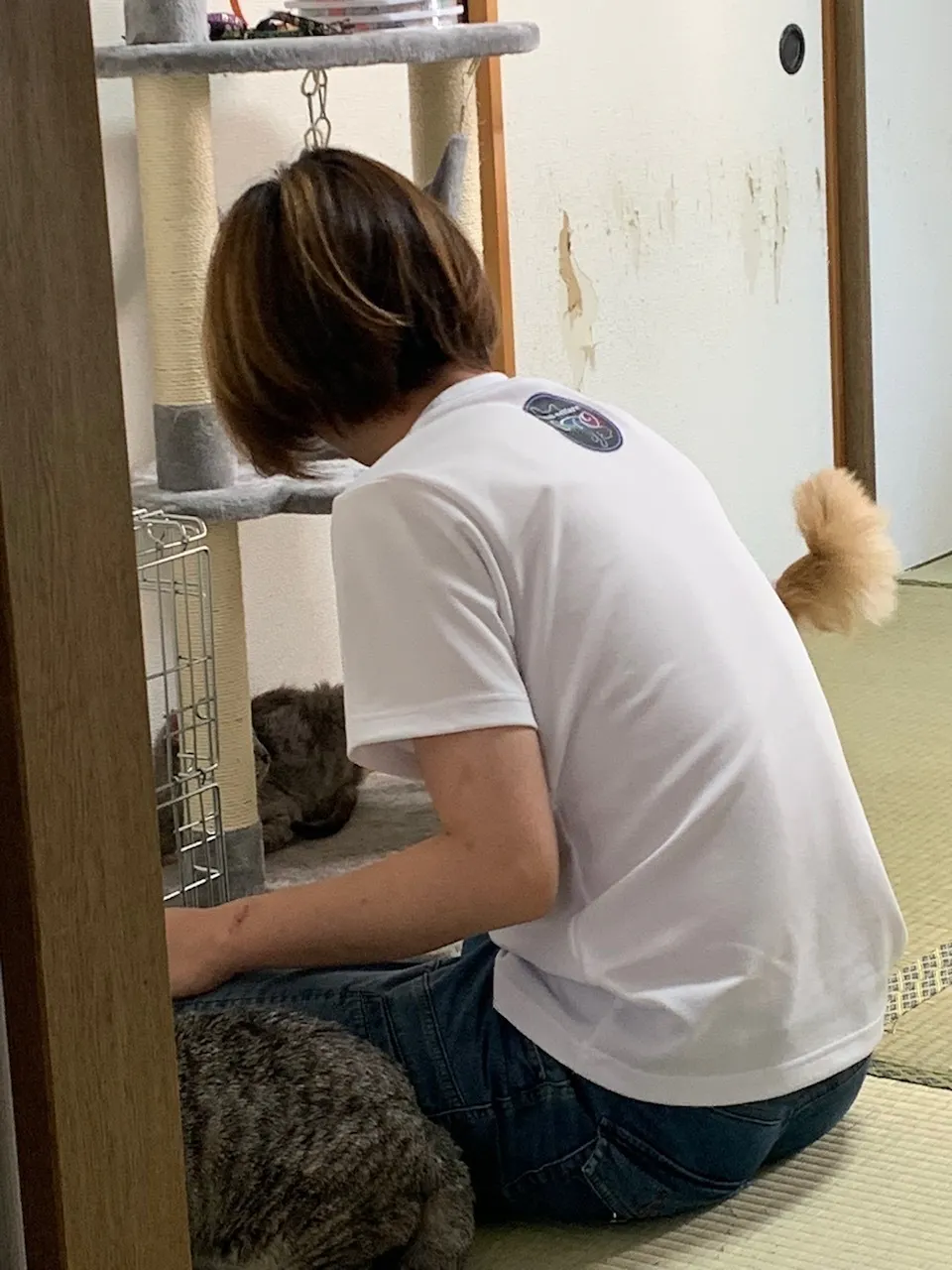 2番目のメイン画像