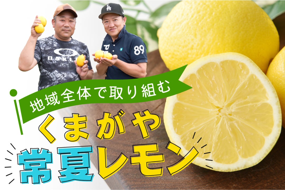 埼玉県熊谷市の“暑さ”で勝負！新たな名産「常夏レモン」開発