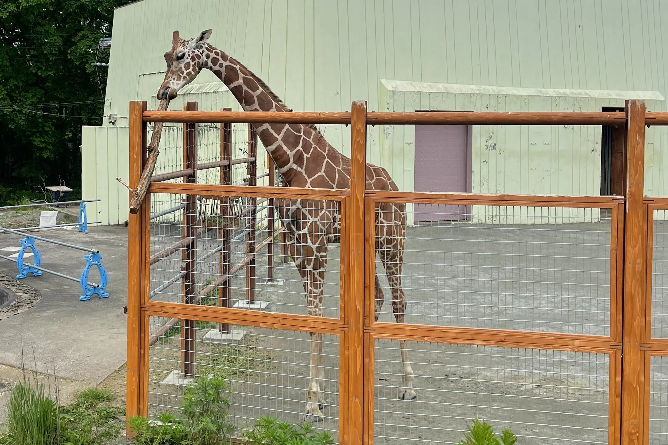 3番目のメイン画像