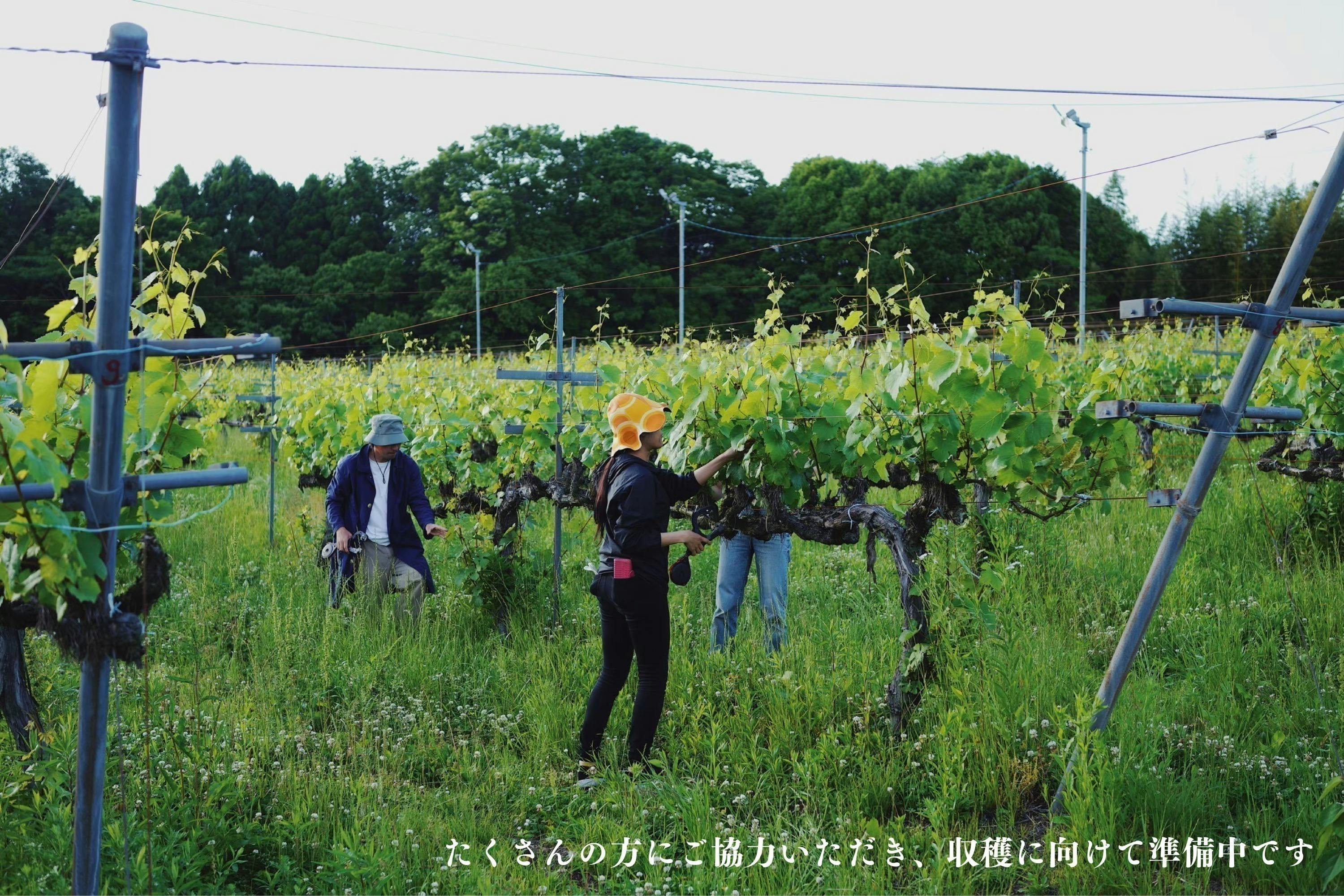 4番目のメイン画像