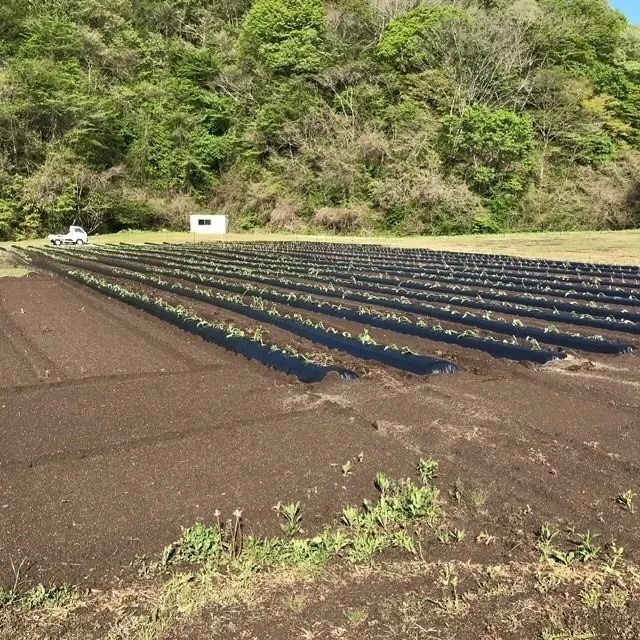 3番目のメイン画像