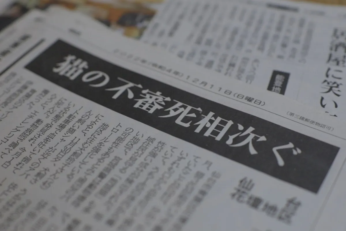 2番目のメイン画像