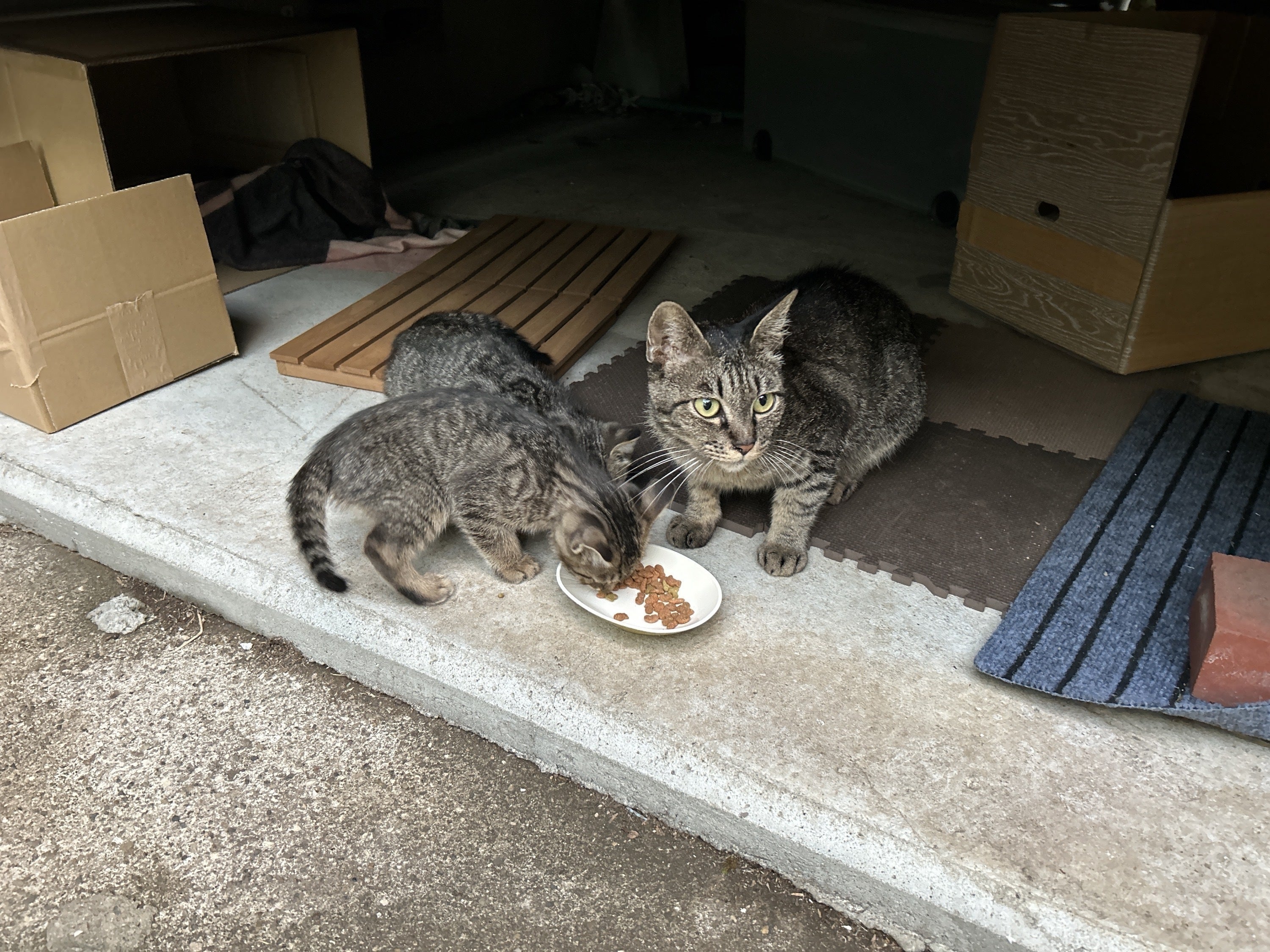 2番目のメイン画像