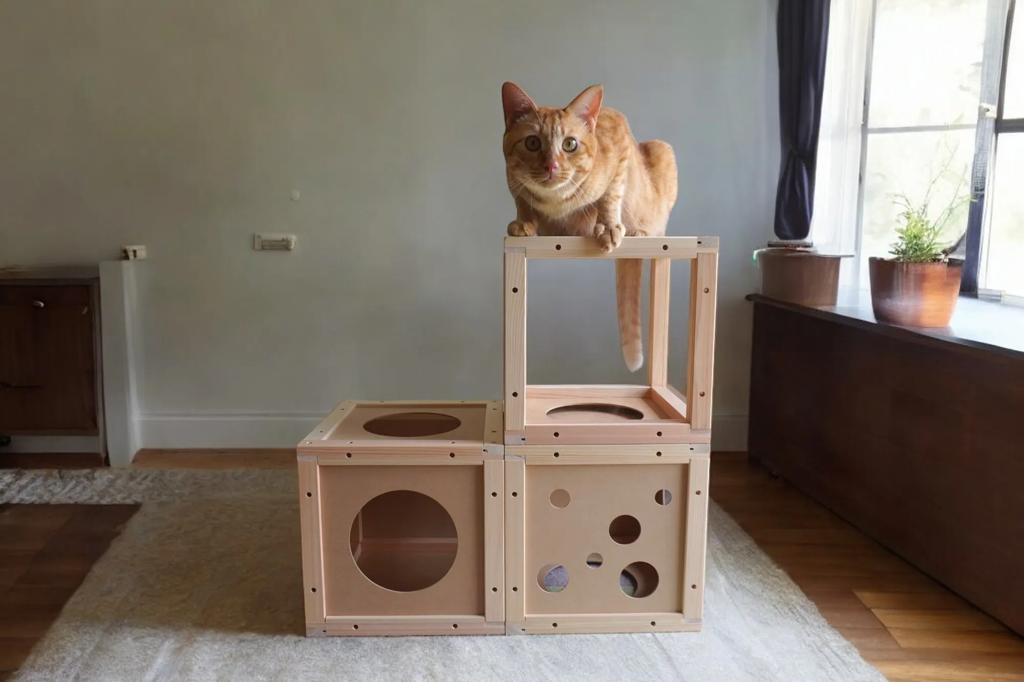 5番目のメイン画像