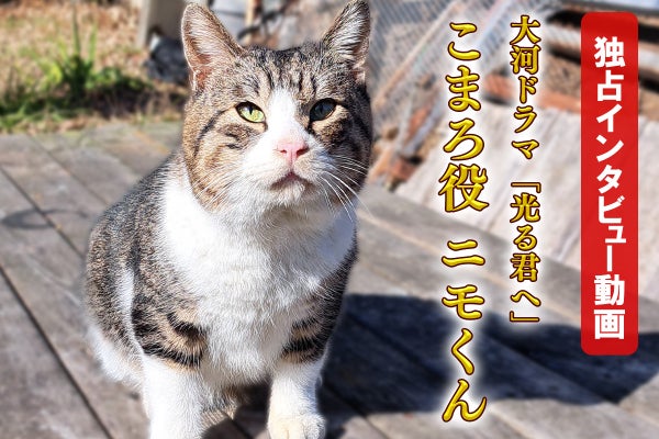 1番目のメイン画像