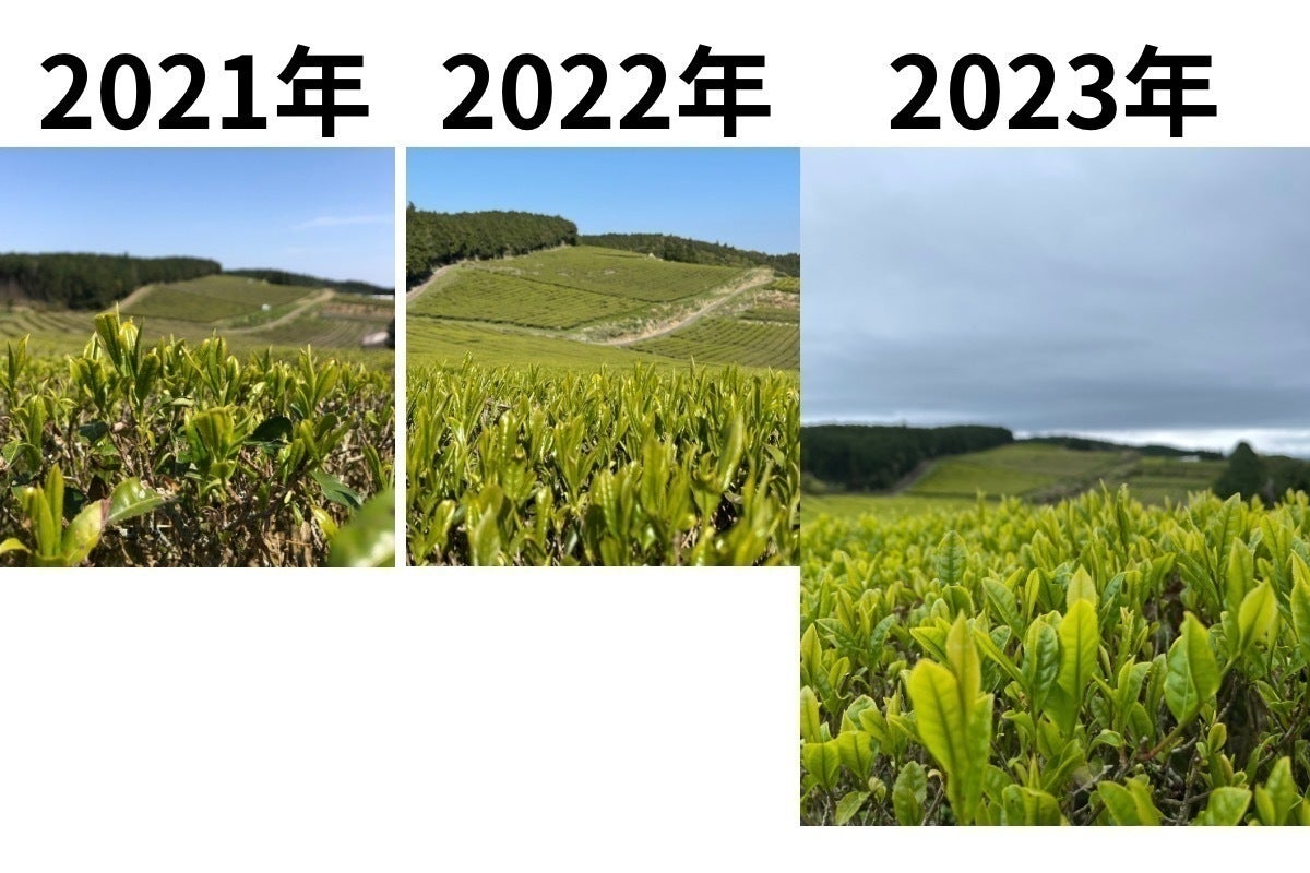 3番目のメイン画像