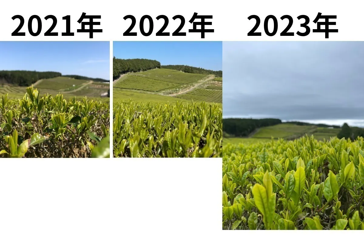 3番目のメイン画像