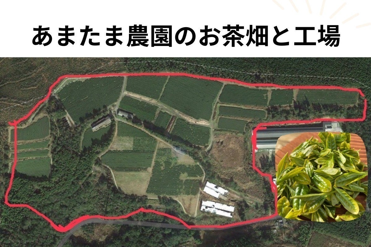 5番目のメイン画像