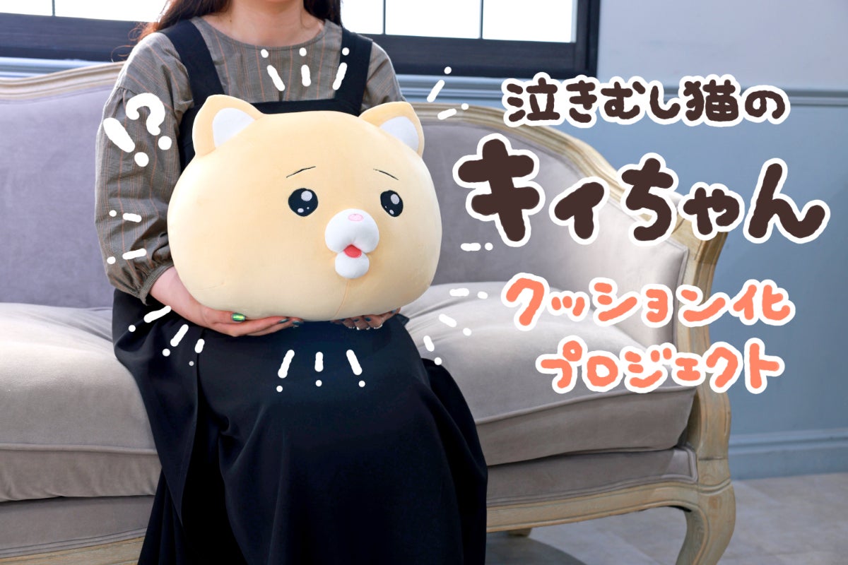 泣きむし猫のキィちゃんクッション化プロジェクト - CAMPFIRE