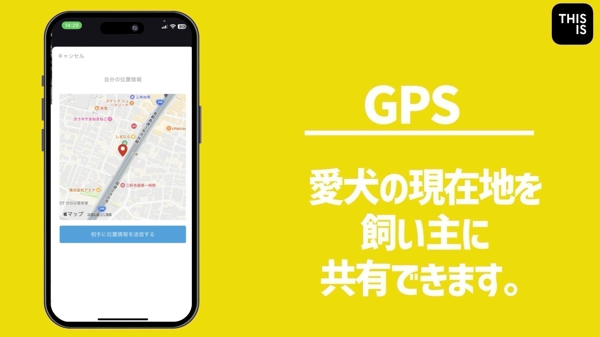 3番目のメイン画像