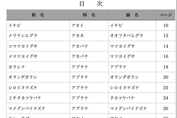 3番目のメイン画像