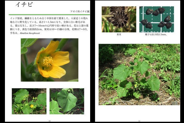 4番目のメイン画像