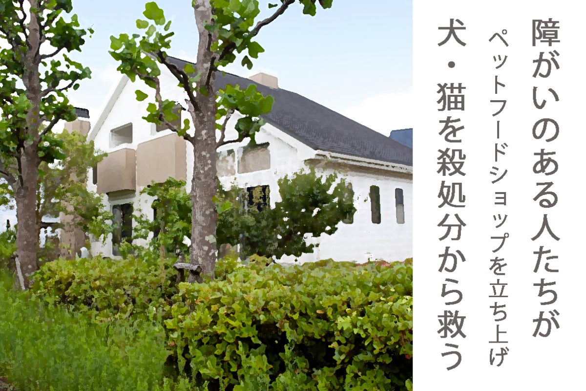 1番目のメイン画像