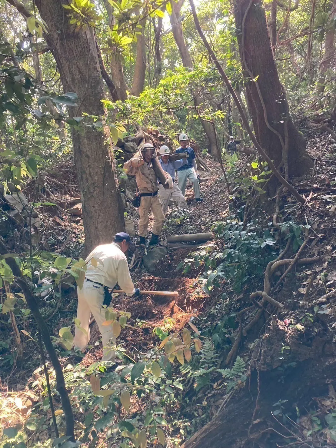 2番目のメイン画像