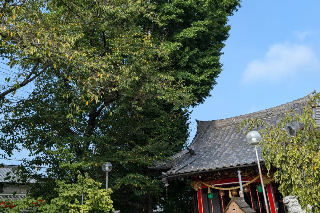 1番目のメイン画像