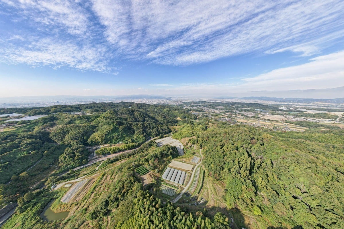 5番目のメイン画像