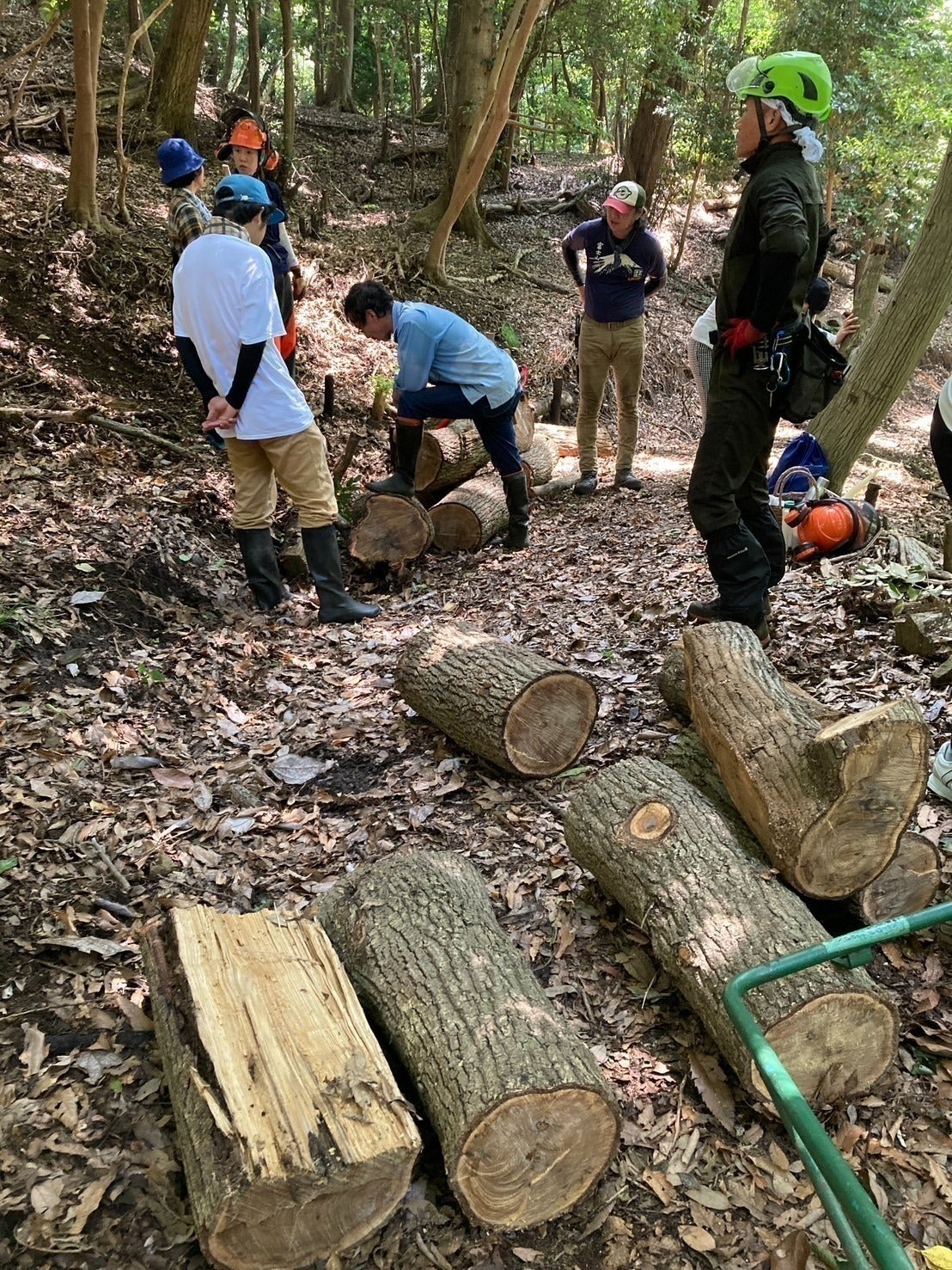 5番目のメイン画像