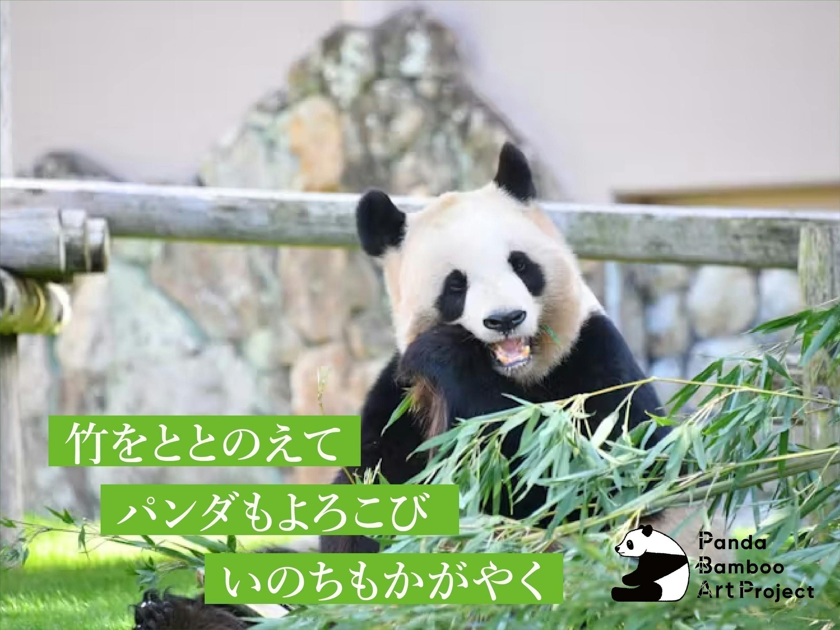 パンダが食べる竹5,000 本で、世界の人々と驚きの「アート」制作 パンダが食べる竹5,000 本で、世界の人々と驚きの「アート」制作