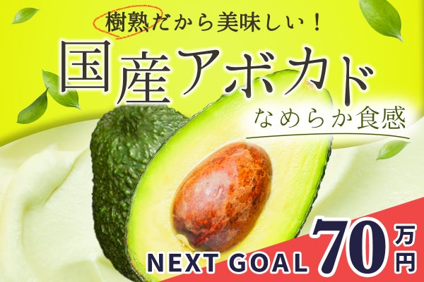 愛知県田原市】農業産出額2位の町から国産アボカドの魅力を伝えたい