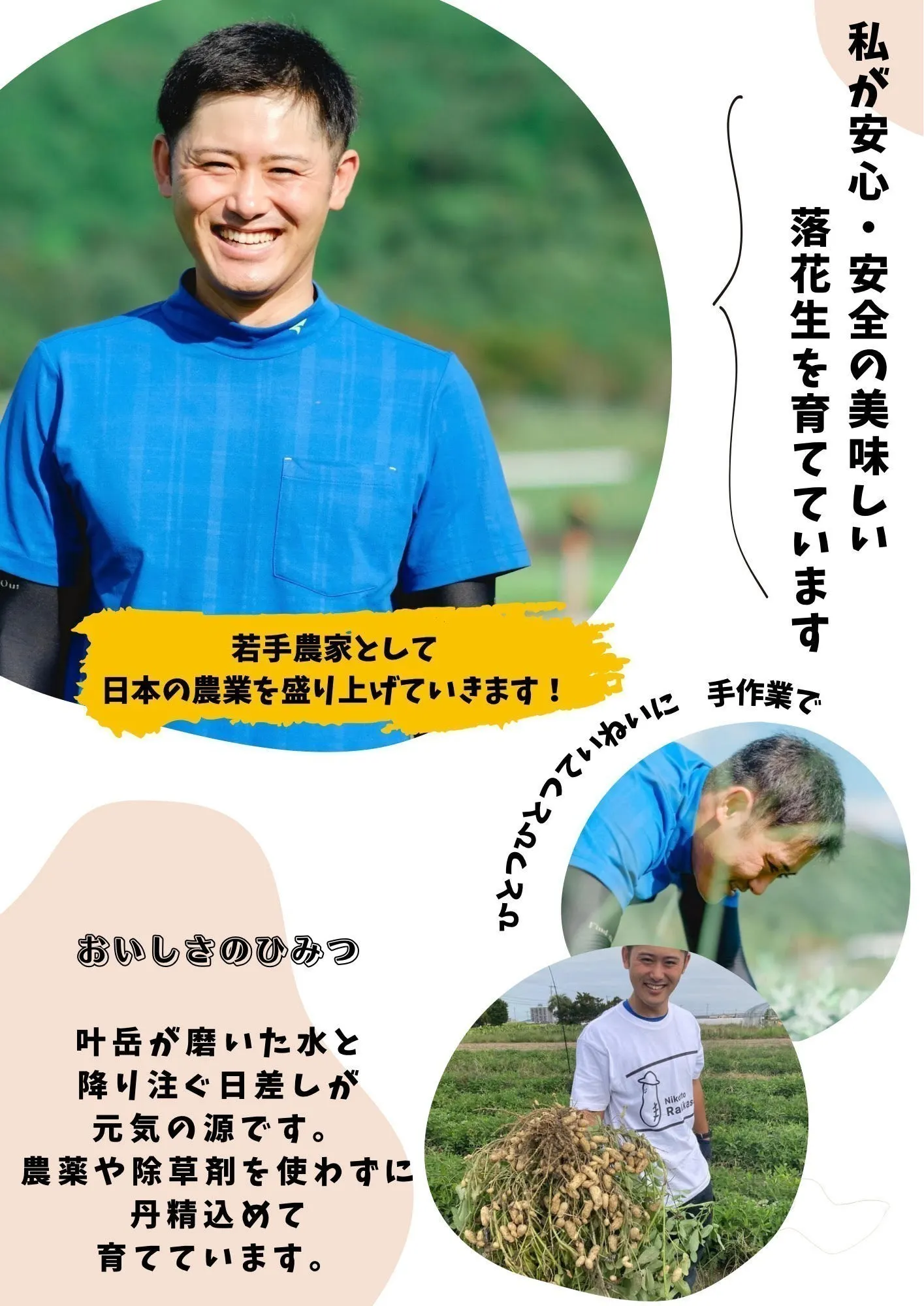 2番目のメイン画像