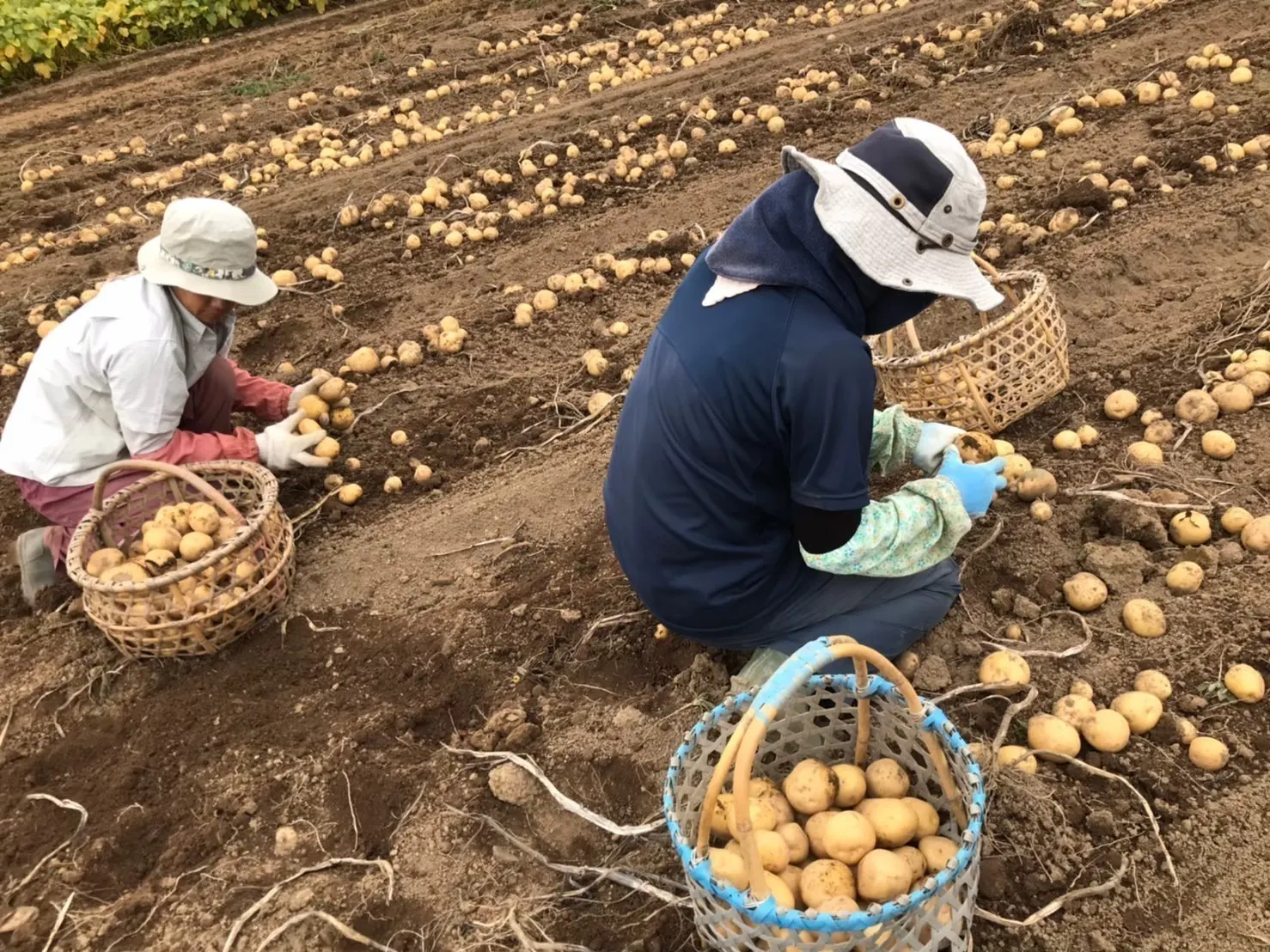 4番目のメイン画像