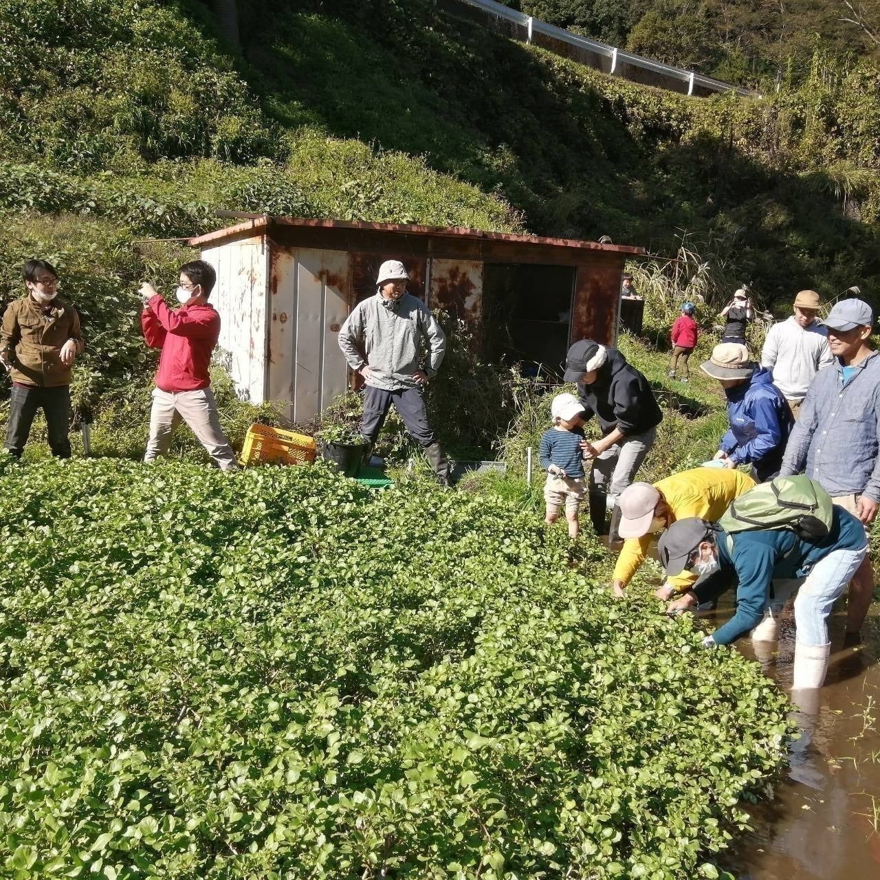 3番目のメイン画像