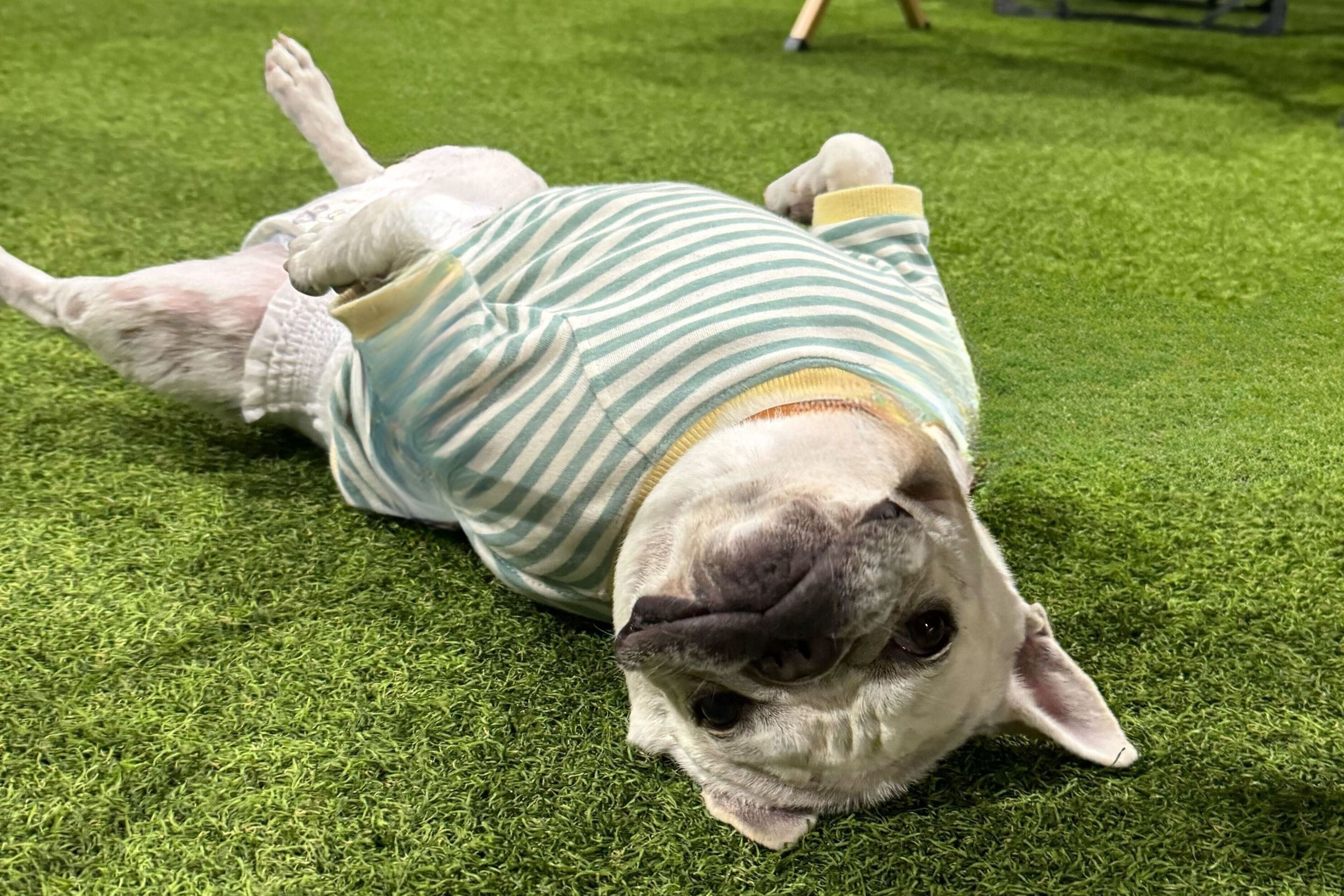 5番目のメイン画像