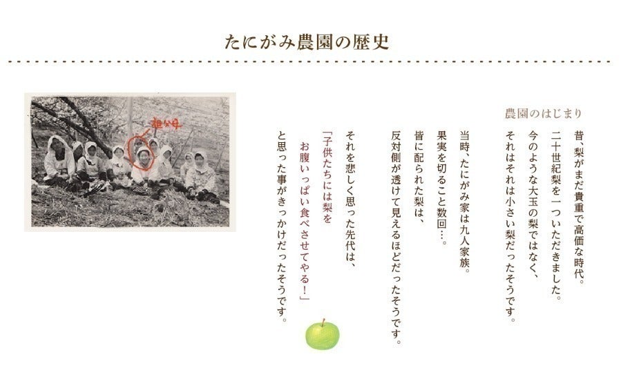 3番目のメイン画像