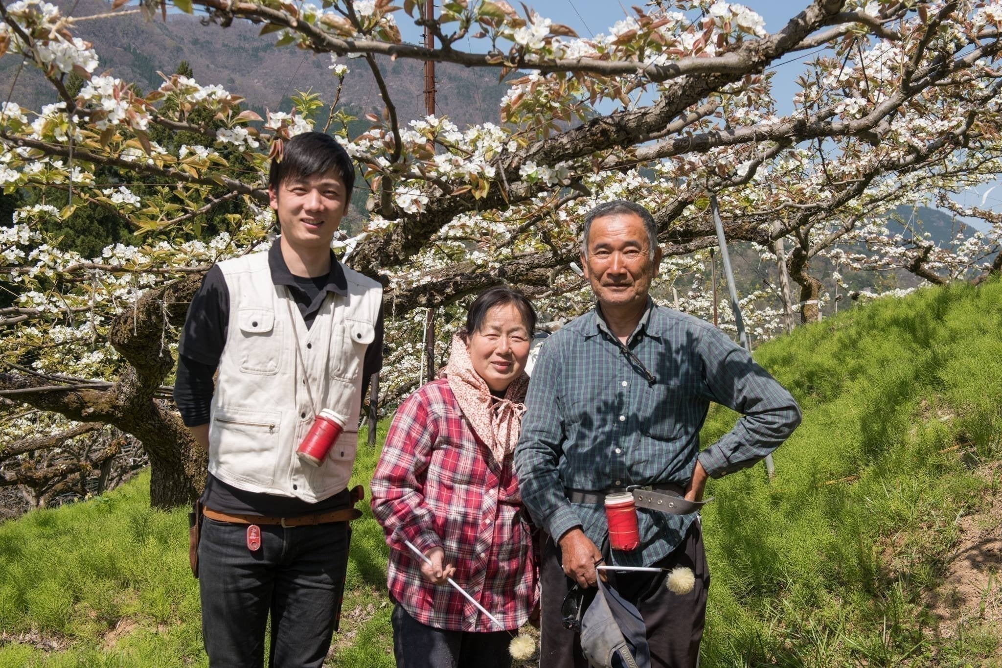 2番目のメイン画像