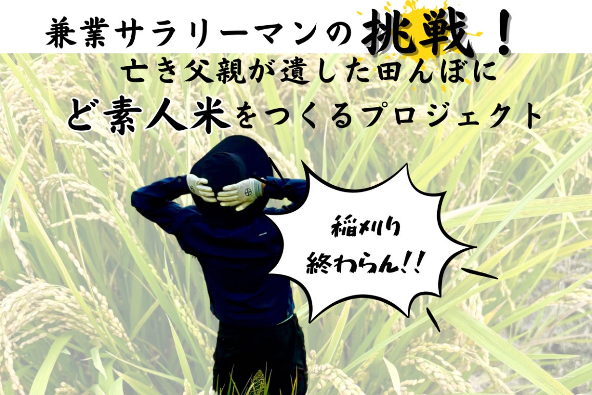 兼業サラリーマンの挑戦！ど素人米を育てるプロジェクト - CAMPFIRE 