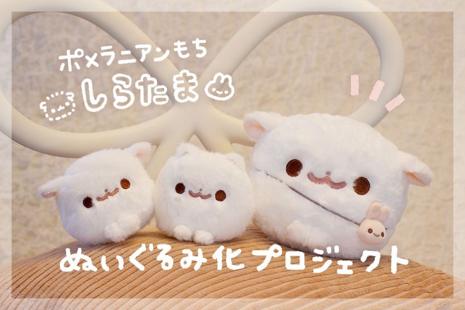 ポメラニアンもち ぬいぐるみ しらたま＆もち 752d6705-7106-4e3b-bfe2-