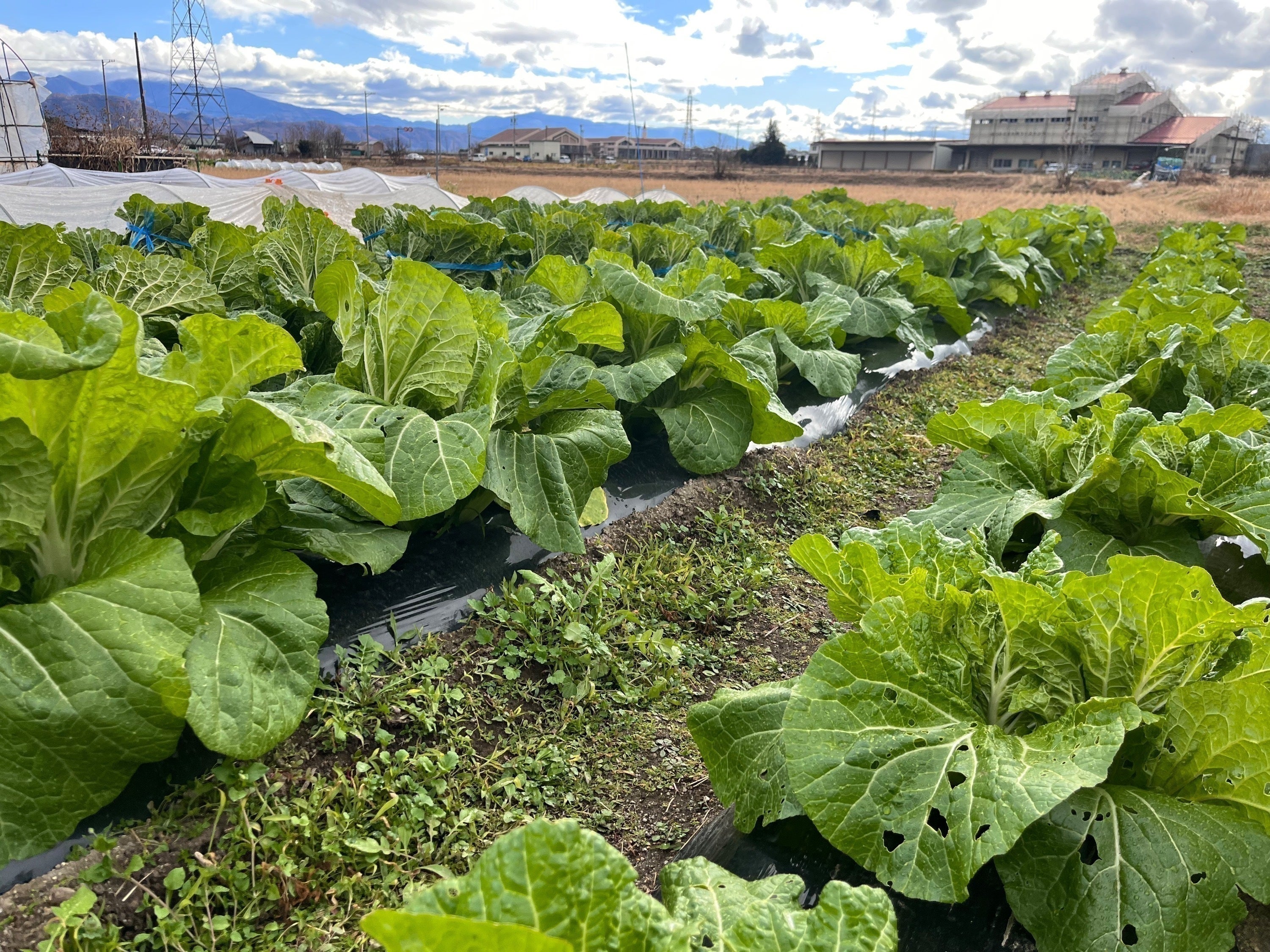 5番目のメイン画像