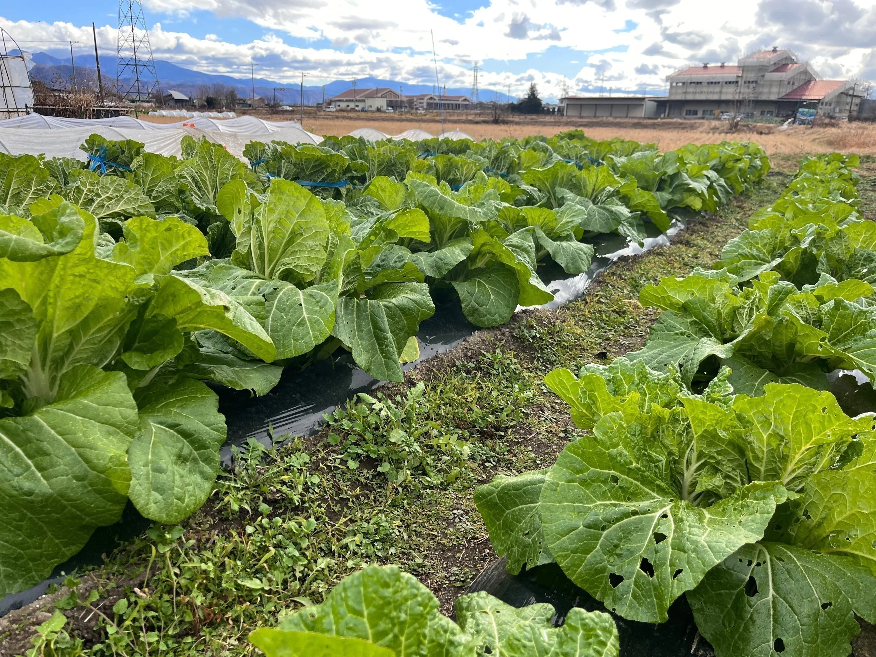 5番目のメイン画像