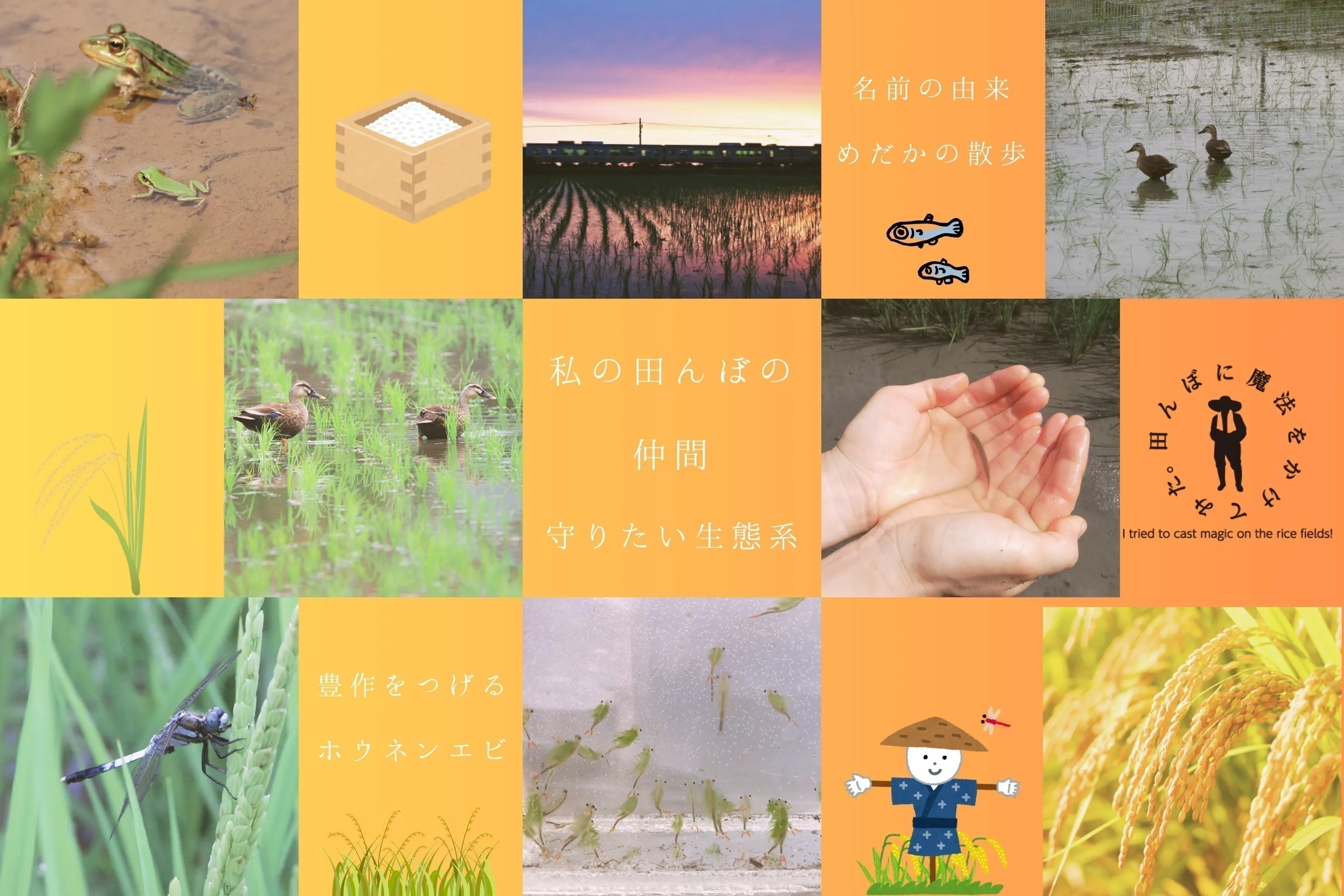 4番目のメイン画像