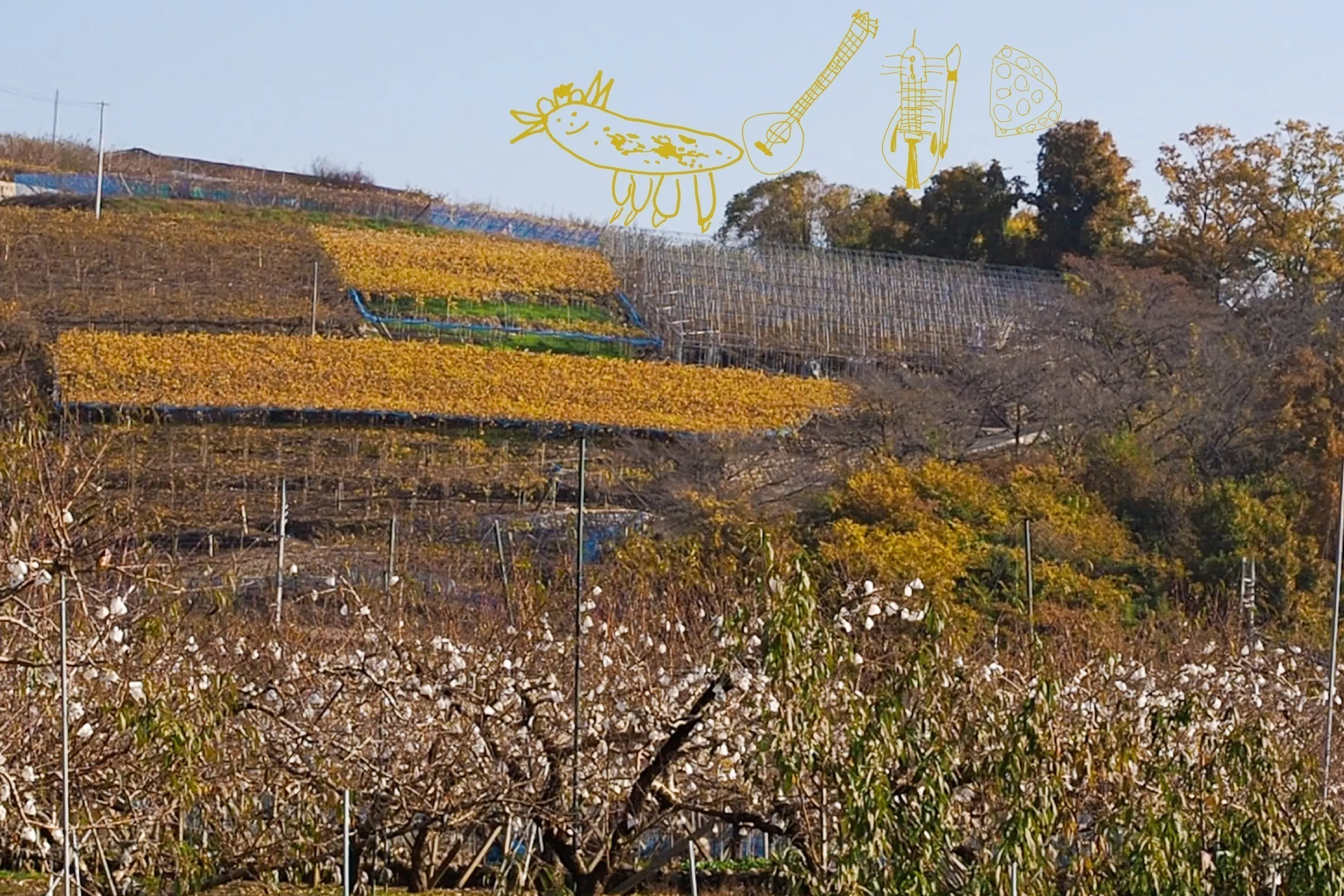 5番目のメイン画像