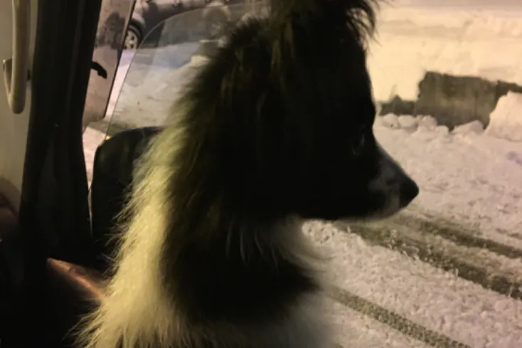 1番目のメイン画像