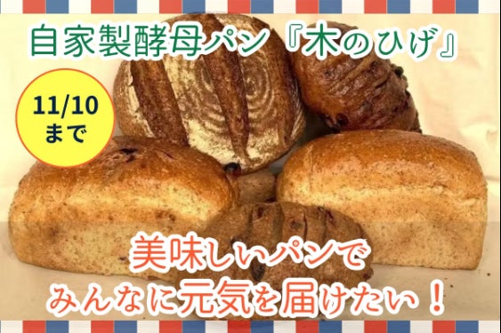 自家製酵母パン木のひげは 窯の火を絶やすことなく 明日も力強く進み